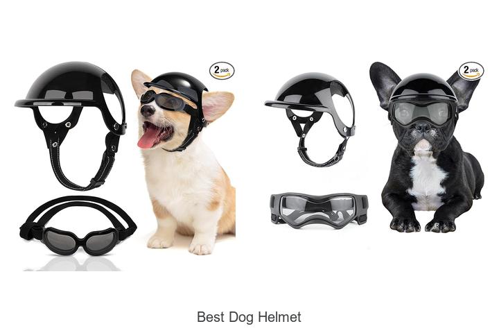 Top 12 Best Dog Helmet That Will Blow Your Mind Today